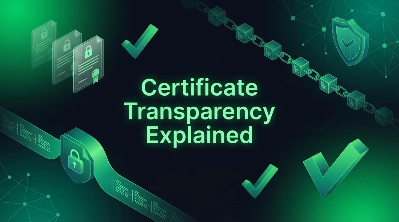 Certificate Transparency: How It Protects Your Domain